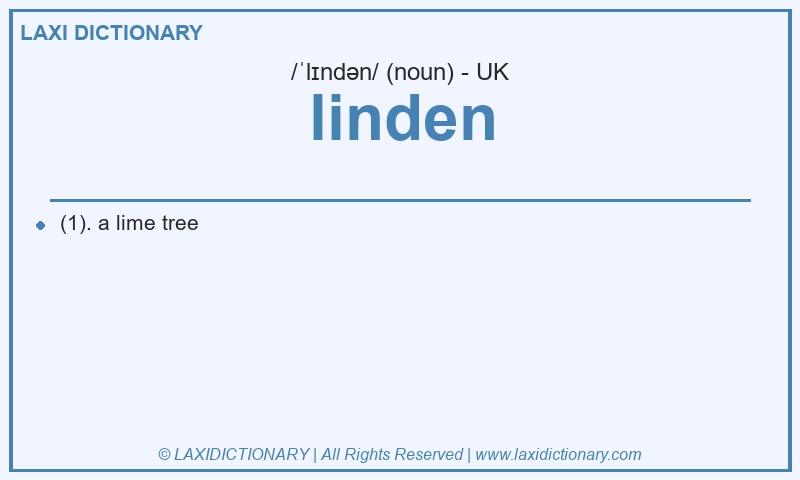 Definition linden in British English