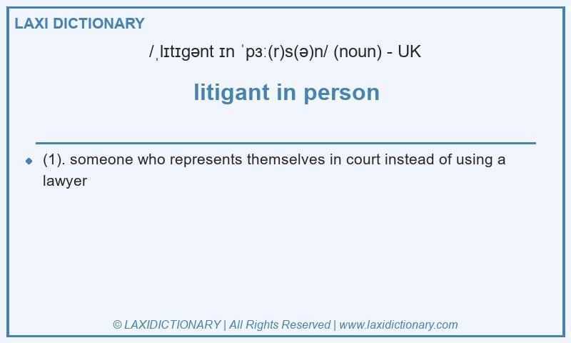 Definition litigant in person in British English