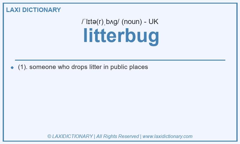 Definition litterbug in British English