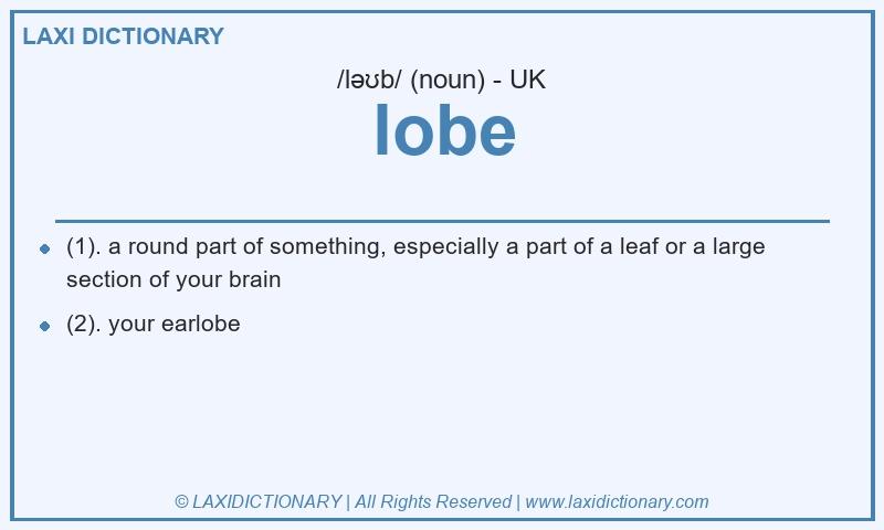 Definition lobe in British English