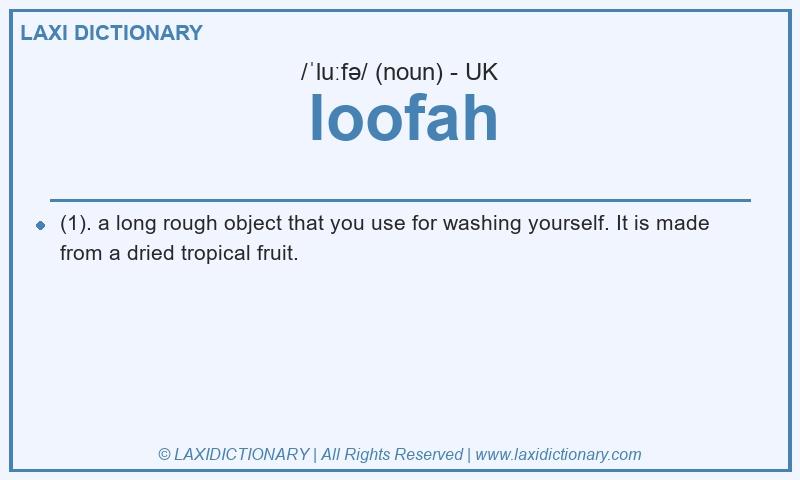 Definition loofah in British English