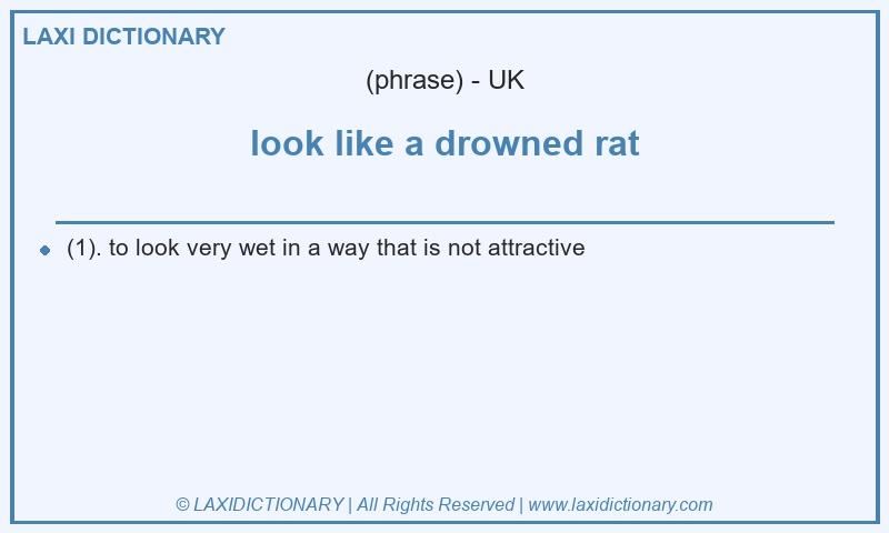 Definition look like a drowned rat in British English