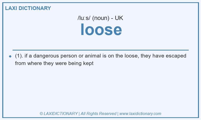 Definition loose in British English
