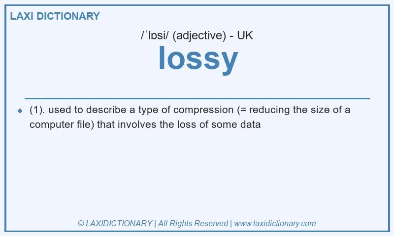 Definition lossy in British English