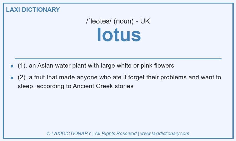 Definition lotus in British English