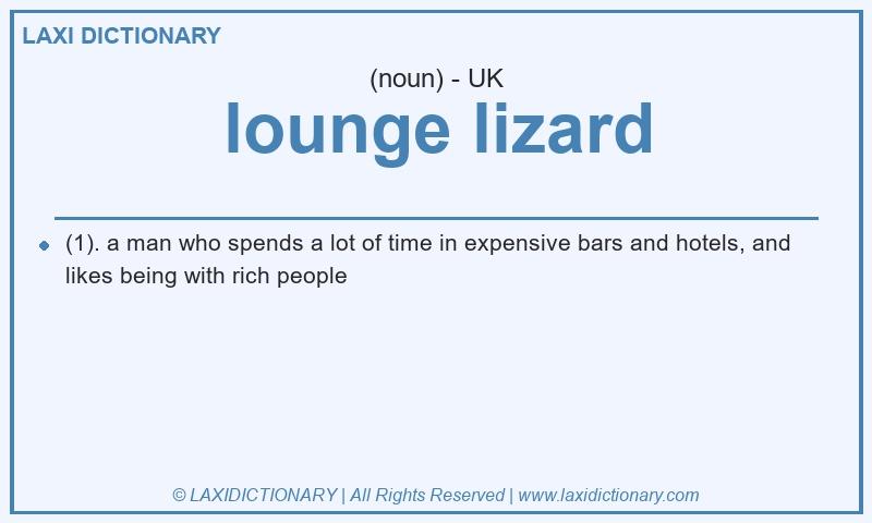 Definition lounge lizard in British English
