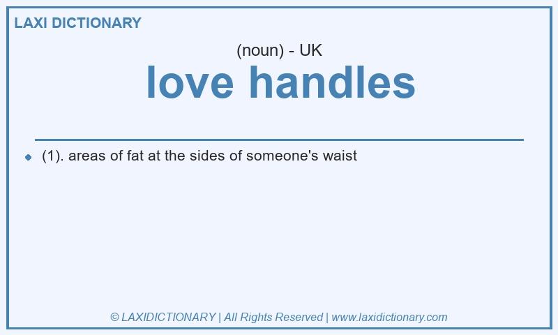 Definition love handles in British English