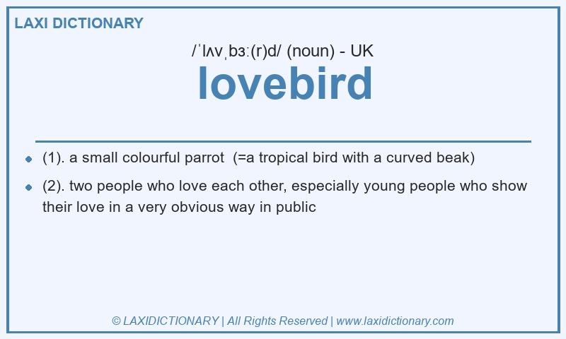 Definition lovebird in British English