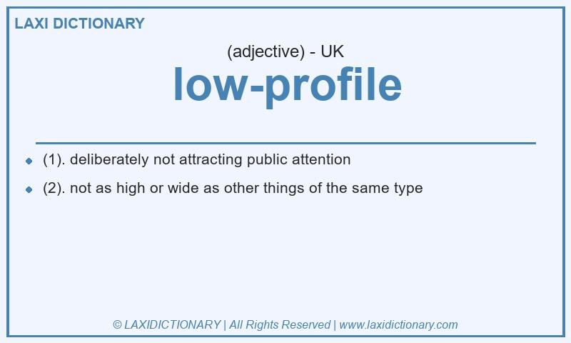 Definition low-profile in British English