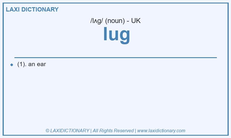 Definition lug in British English