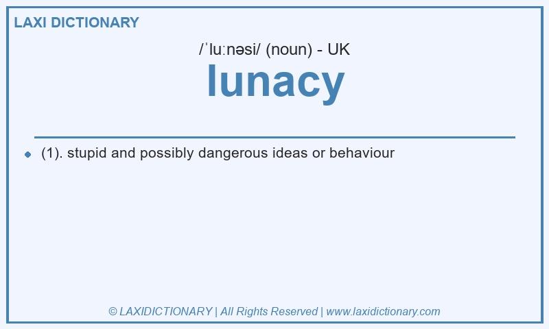 Definition lunacy in British English