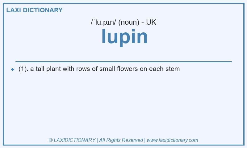 Definition lupin in British English