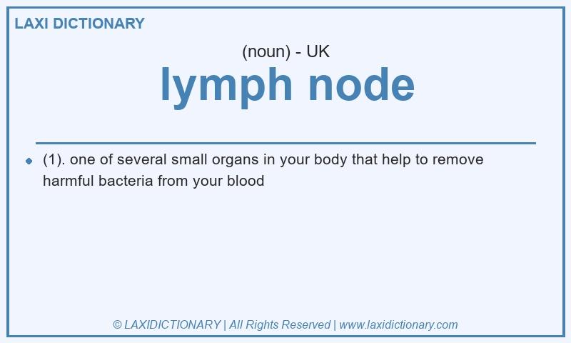 Definition lymph node in British English