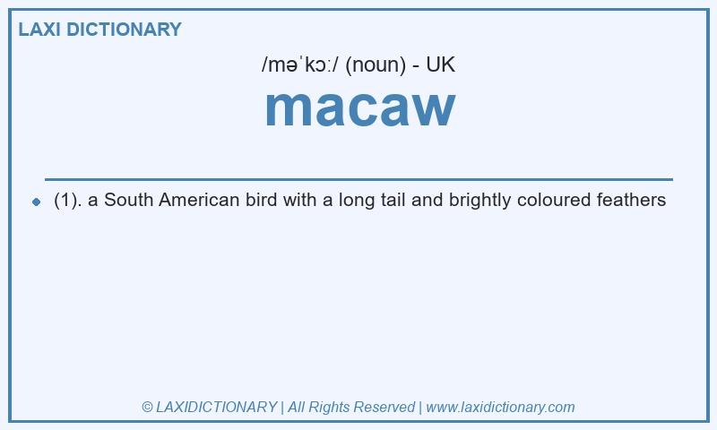 Definition macaw in British English