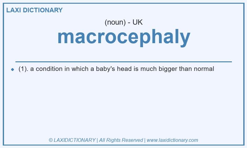 Definition macrocephaly in British English