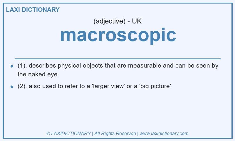 Definition macroscopic in British English