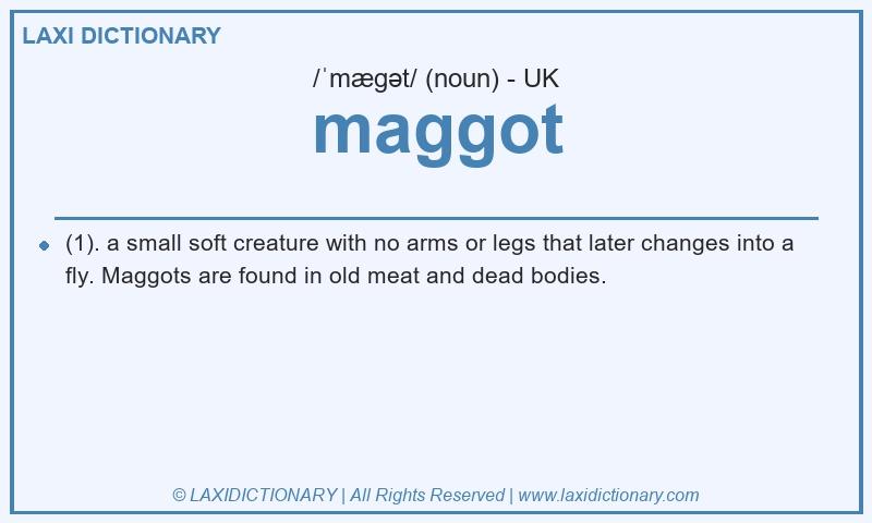 Definition maggot in British English