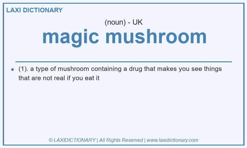 Definition magic mushroom in British English