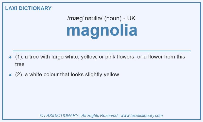 Definition magnolia in British English