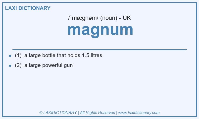Definition magnum in British English