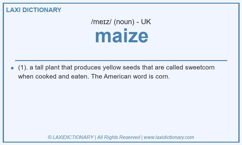 Definition maize in British English