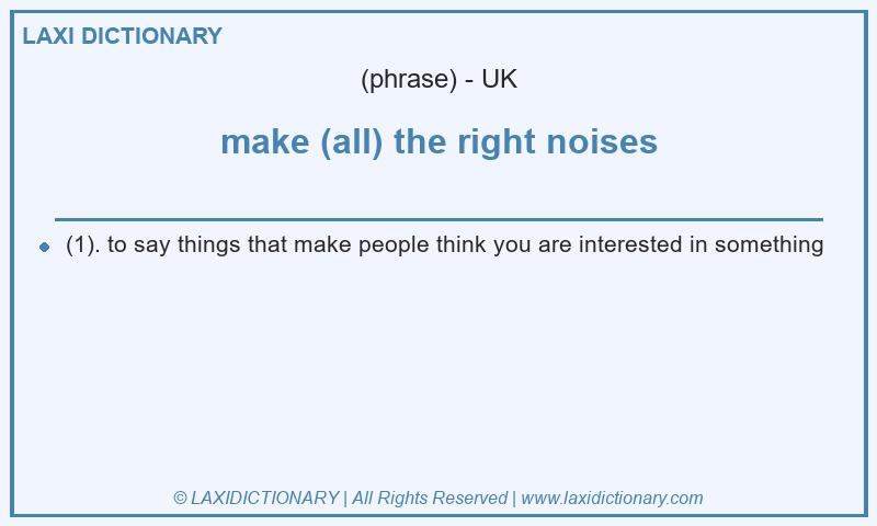 Definition make (all) the right noises in British English