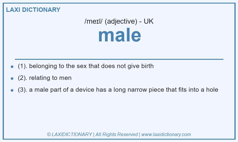 Definition male in British English