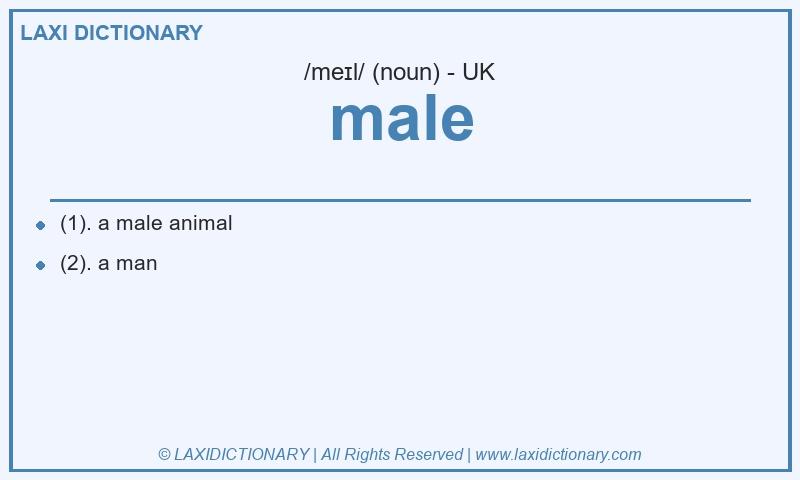 Definition male in British English