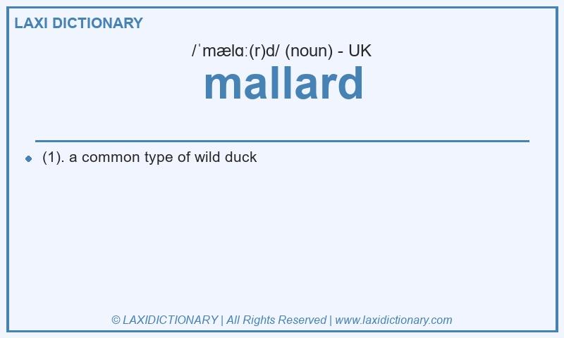 Definition mallard in British English