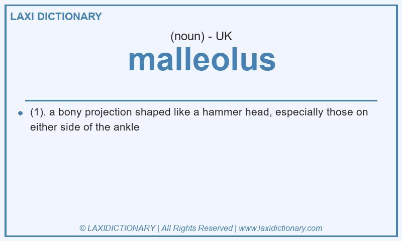 Definition malleolus in British English