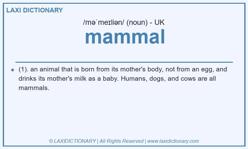 Definition mammal in British English
