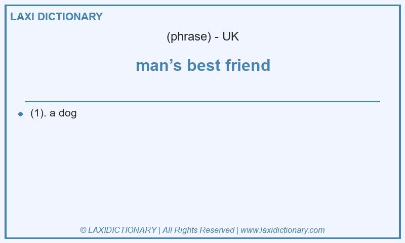 Definition man’s best friend in British English