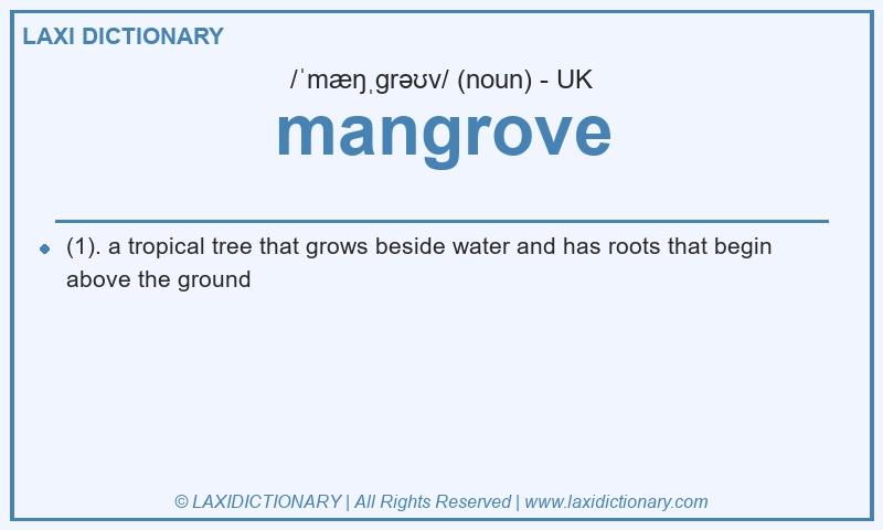 Definition mangrove in British English