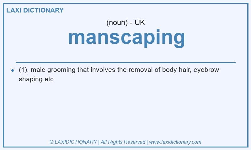 Definition manscaping in British English