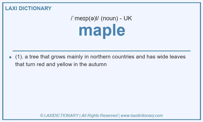 Definition maple in British English