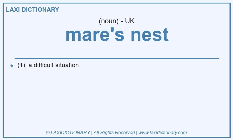 Definition mare's nest in British English