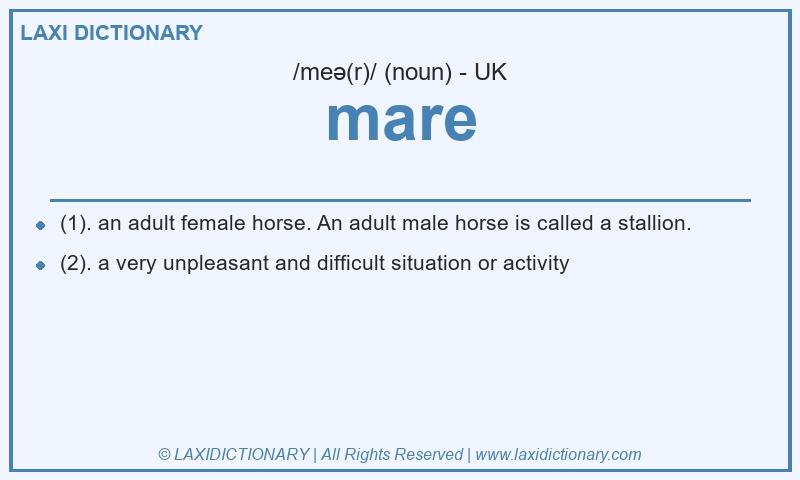 Definition mare in British English