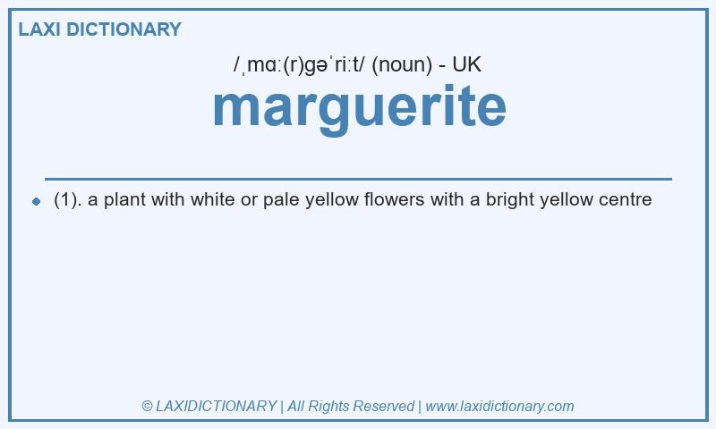 Definition marguerite in British English