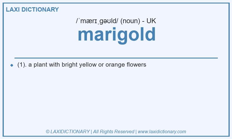 Definition marigold in British English