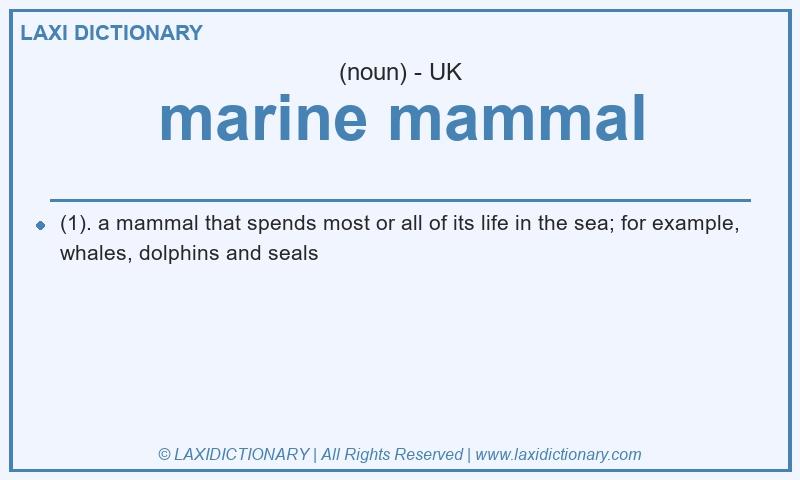 Definition marine mammal in British English