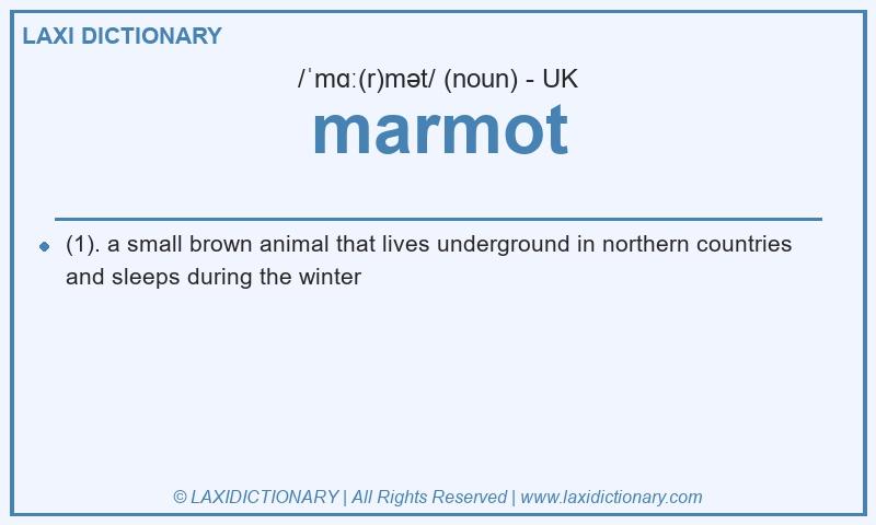 Definition marmot in British English