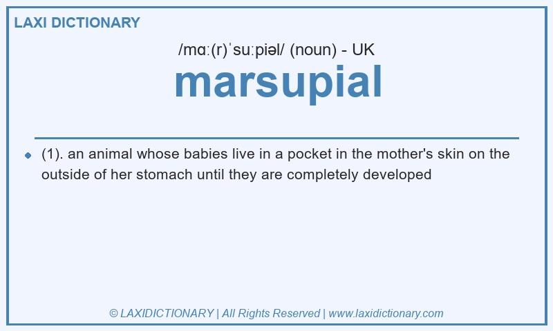 Definition marsupial in British English