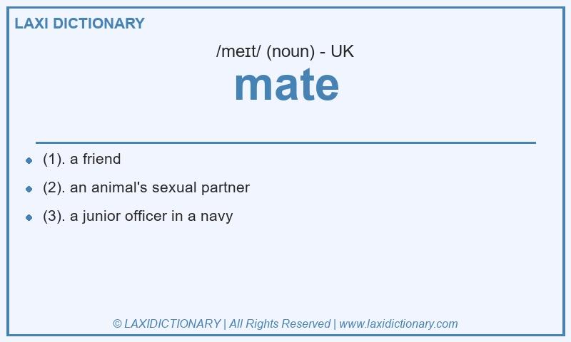 Definition mate in British English