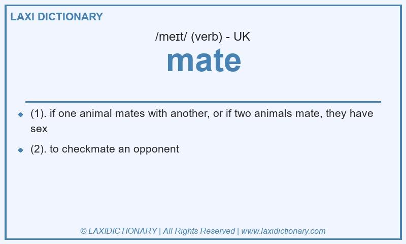 Definition mate in British English