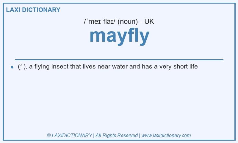 Definition mayfly in British English