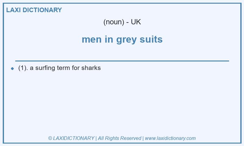 Definition men in grey suits in British English