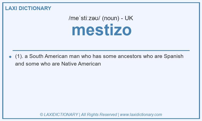 Definition mestizo in British English