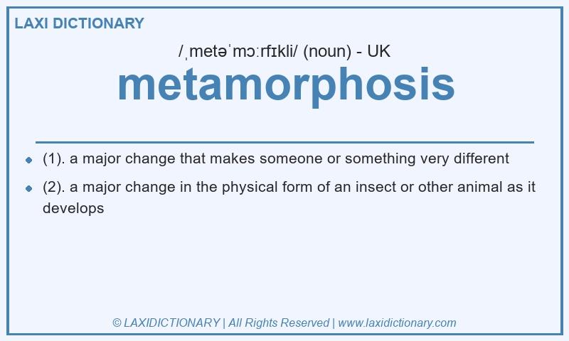 Definition metamorphosis in British English