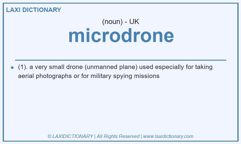 Definition microdrone in British English
