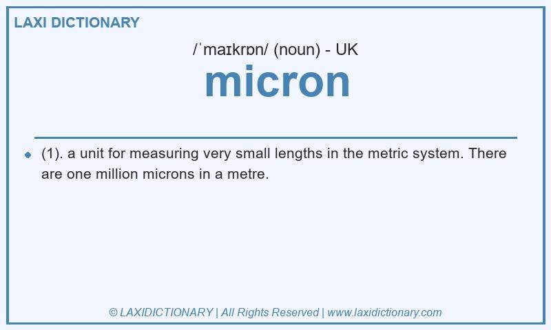Definition micron in British English